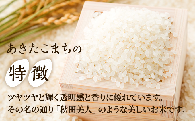 喜ばれる誕生日プレゼント ふるなび ふるさと納税 《定期便9ヶ月