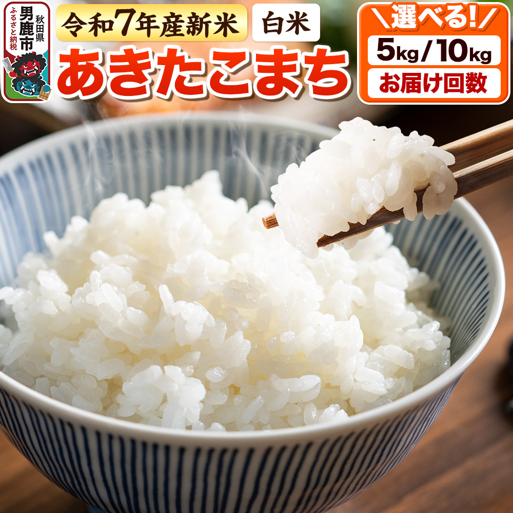 茶道具 三代 諏訪蘇山作 青磁桃 香合 表千家堀内宗完兼中斎極め箱C R51