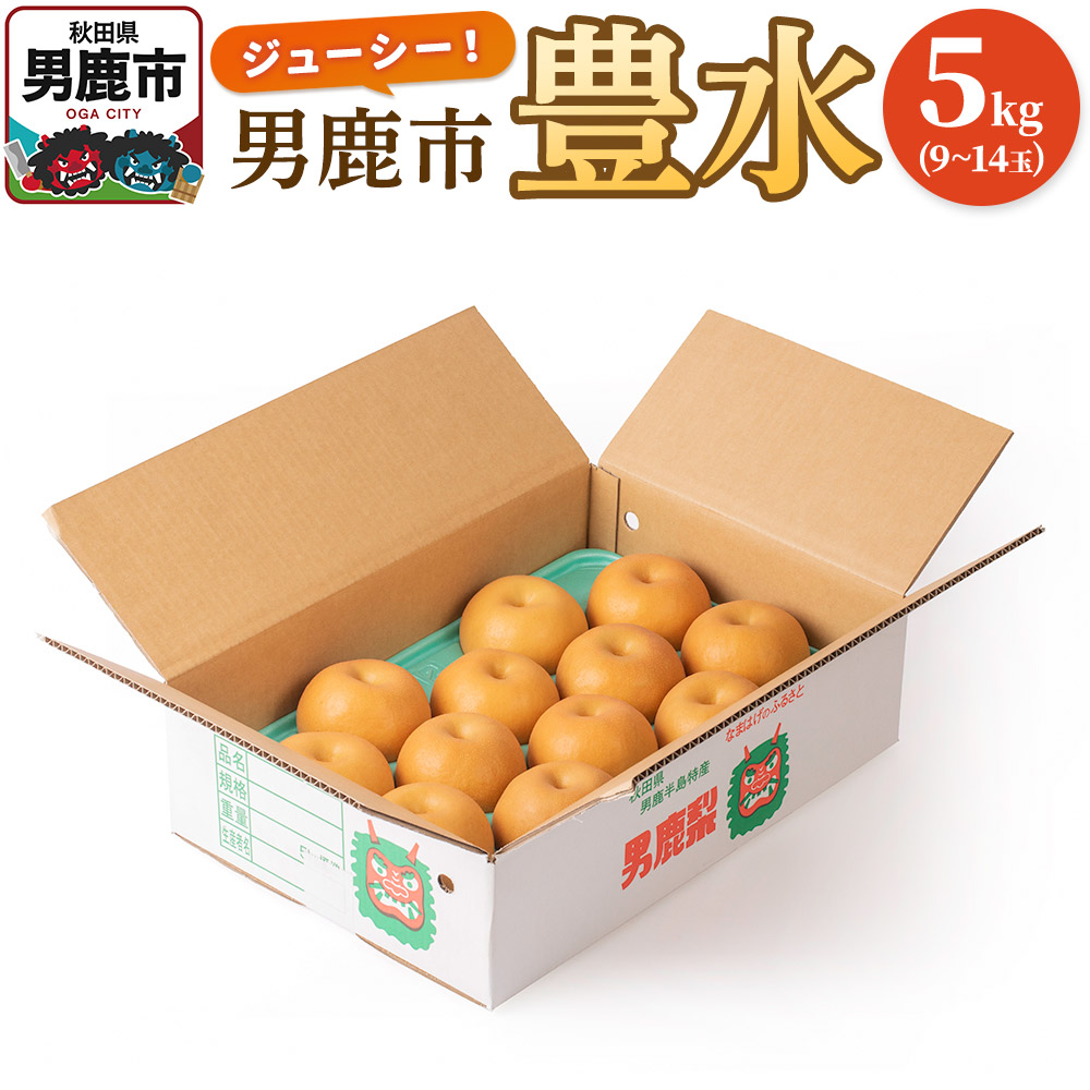 【ふるさと納税】【令和7年度 早期受付】豊水 5kg 9～14玉 梨 なし ナシ 秋田県 男鹿市 旬の果物 フルーツ