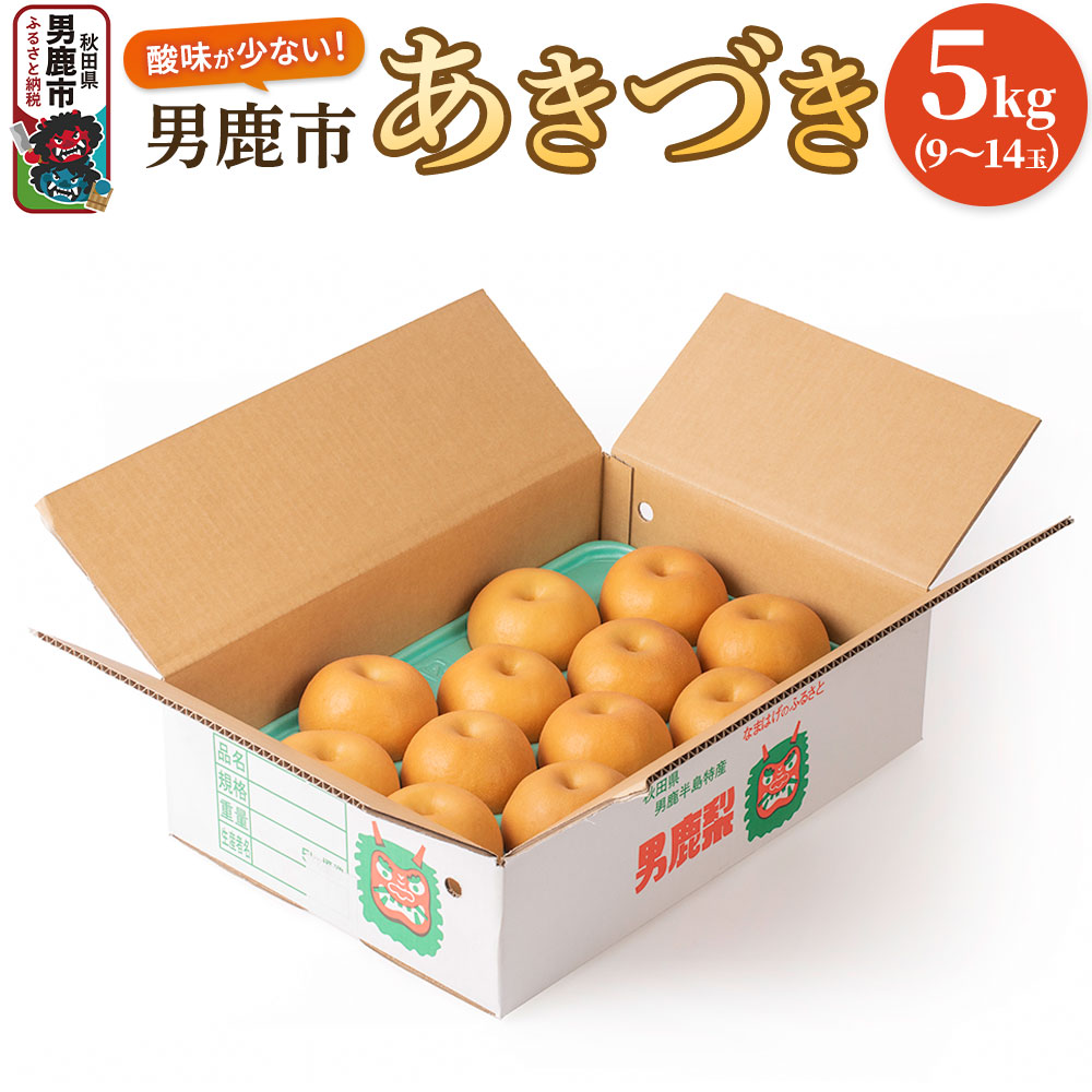 【ふるさと納税】【令和7年度 早期受付】あきづき 5kg 9～14玉 梨 なし ナシ 秋田県 男鹿市 旬の果物 フルーツ