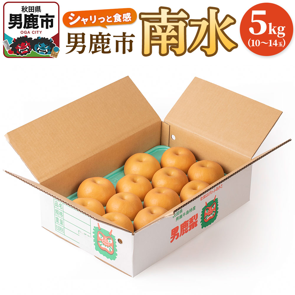 【ふるさと納税】【令和7年度 早期受付】南水 5kg 10玉～14玉 梨 なし ナシ 秋田県 男鹿市 旬の果物 フルーツ