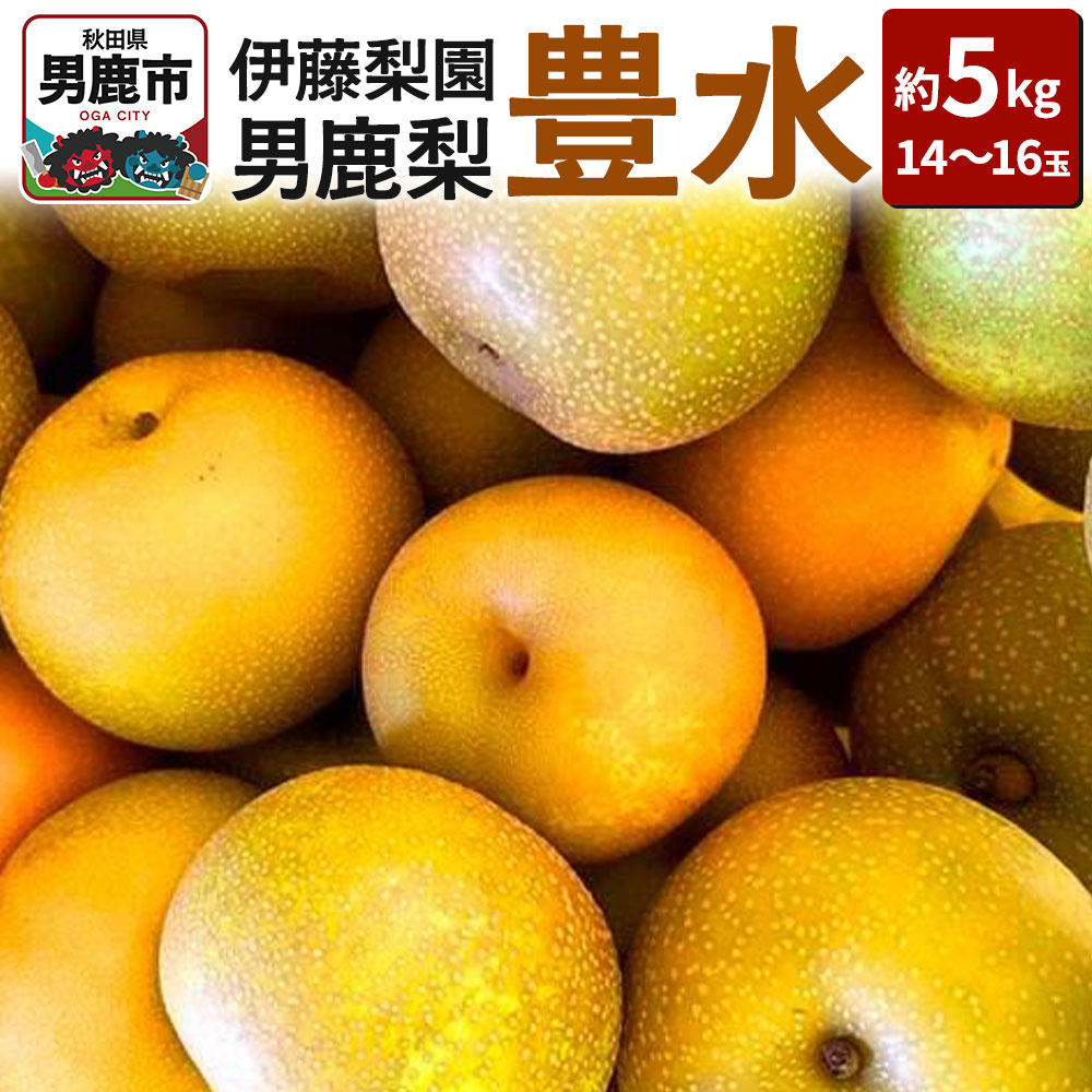 【ふるさと納税】【先行受付】男鹿梨 「伊藤梨園」の豊水 梨 約5kg 2L 14～16玉 秋田県 男鹿市 旬の果物 2025年9月下旬以降出荷