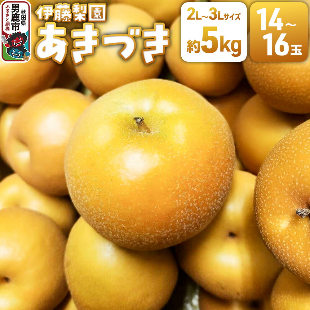 【ふるさと納税】【先行受付】 男鹿梨 あきづき 梨 約5kg 「伊藤梨園」 2L～3L 14玉～16玉 秋田県 男鹿市