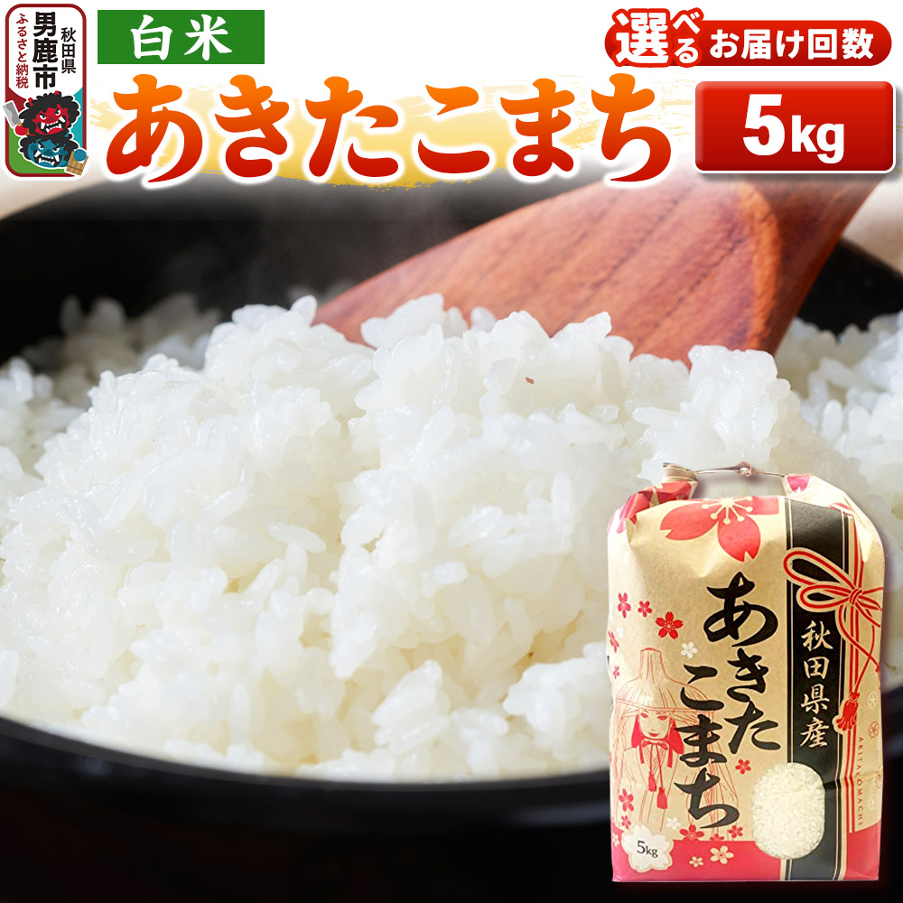 【ふるさと納税】《令和7年産》【白米】秋田県産 あきたこまち 5kg 秋田県 男鹿市 こまちライン【選べるお届け回数】 [こまちライン あきたこまち ブランド米 お米 白米 精米 米どころ 秋田 秋田県産]｜秋田県男鹿市