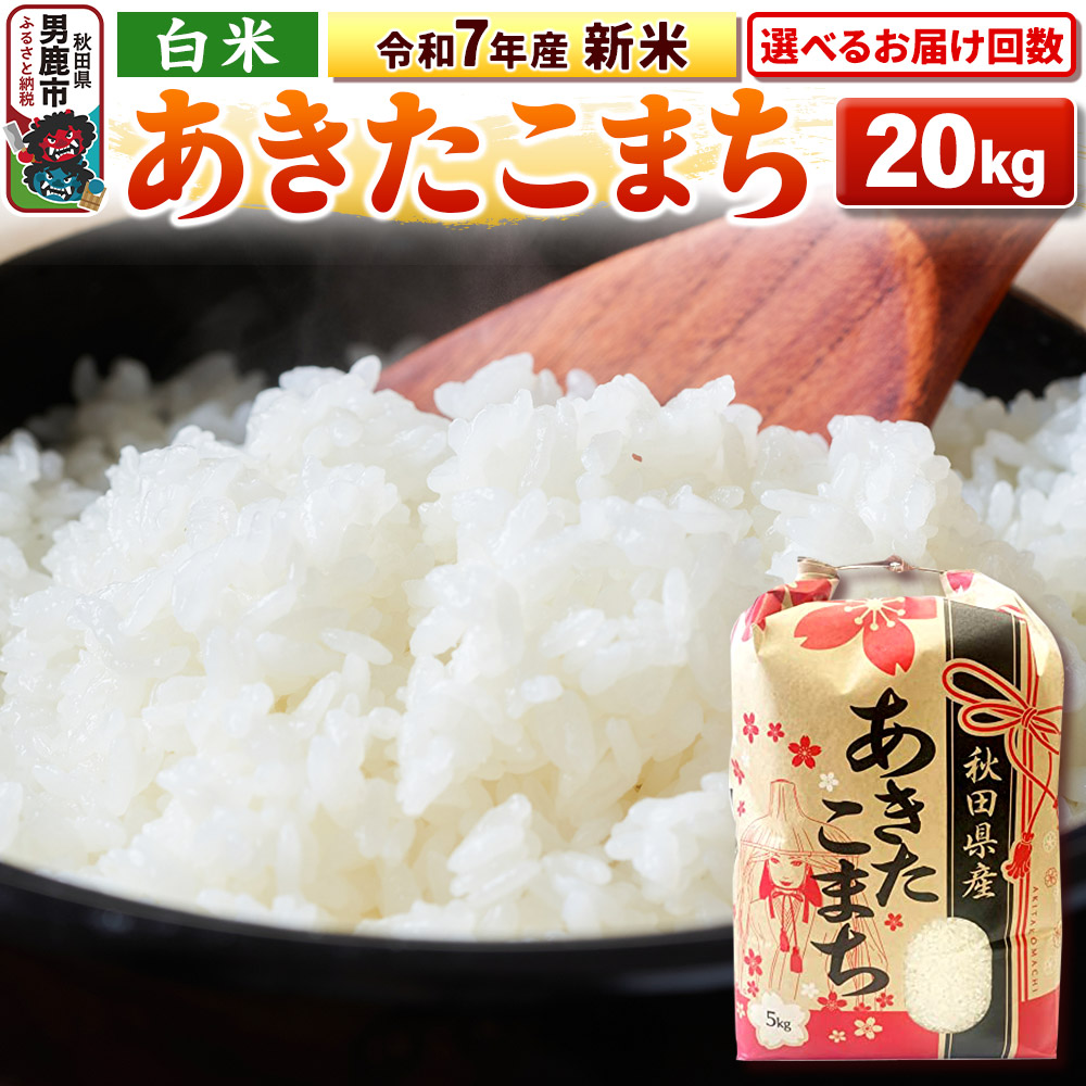 あきたこまち お米 20kg ふるさと納税 令和7年産 備蓄米 無洗米 秋田県