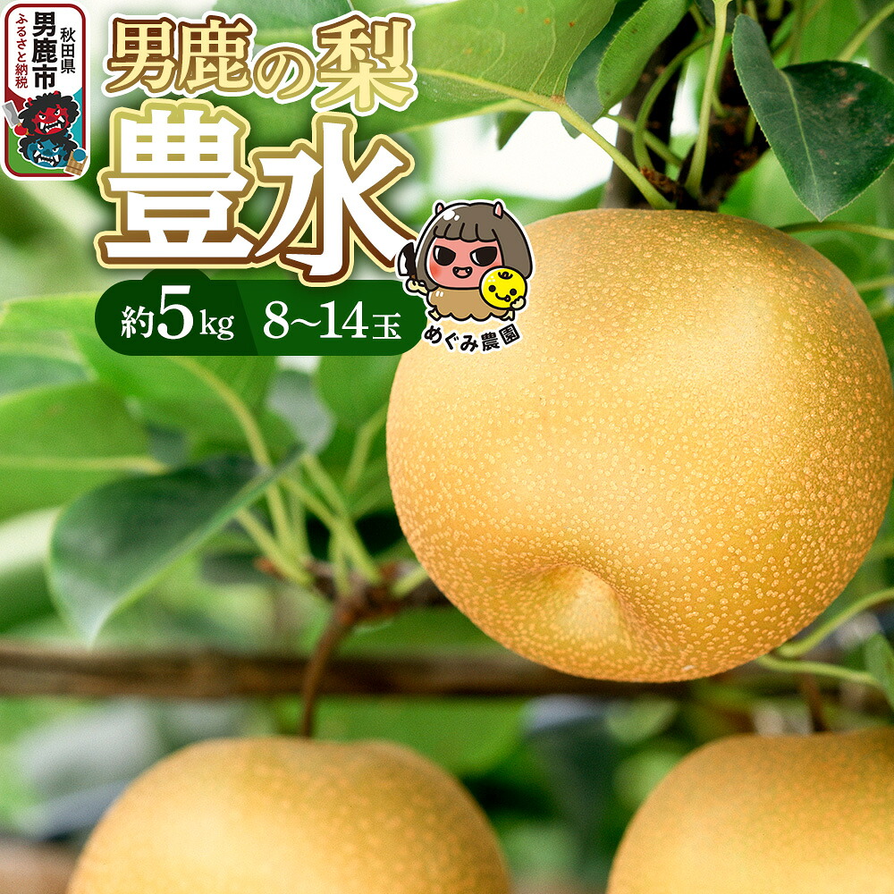 【ふるさと納税】《先行受付》男鹿の梨 豊水 約5kg 8～14玉 梨 秋田県 男鹿市 ＜めぐみ農園＞ 2026年9月中旬より発送