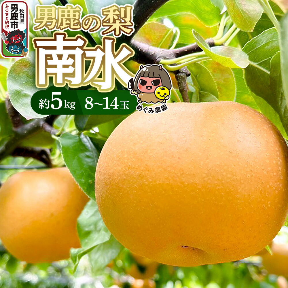 【ふるさと納税】【先行受付】男鹿の梨 南水 約5kg 8～14玉 梨 秋田県 男鹿市 ＜めぐみ農園＞10月上旬より発送