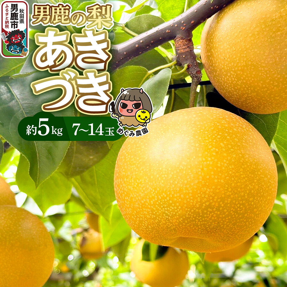 【ふるさと納税】《先行受付》男鹿の梨 あきづき 約5kg 7～14玉 梨 秋田県 男鹿市 ＜めぐみ農園＞ 2026年10月上旬より発送