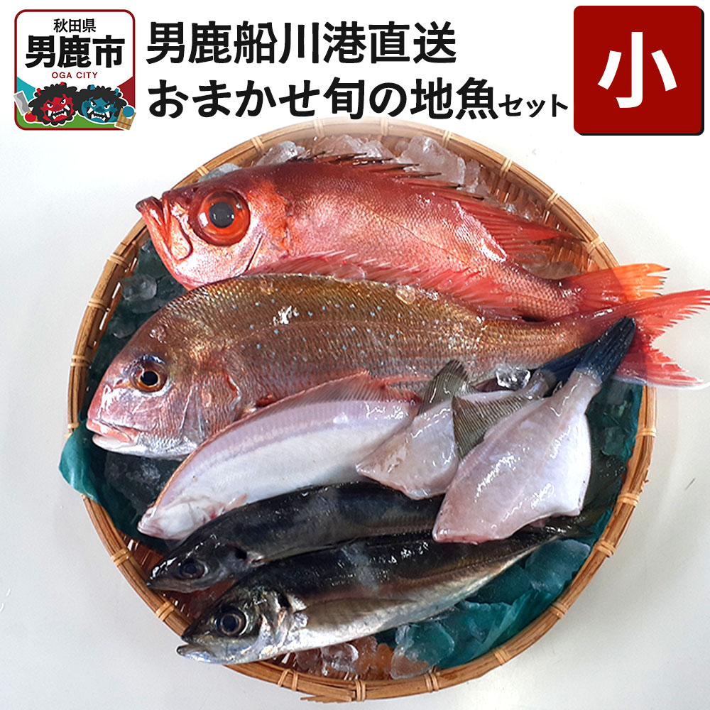 【ふるさと納税】男鹿船川港直送おまかせ旬の地魚セット（小）秋田県 男鹿市 萬漁水産｜秋田県男鹿市