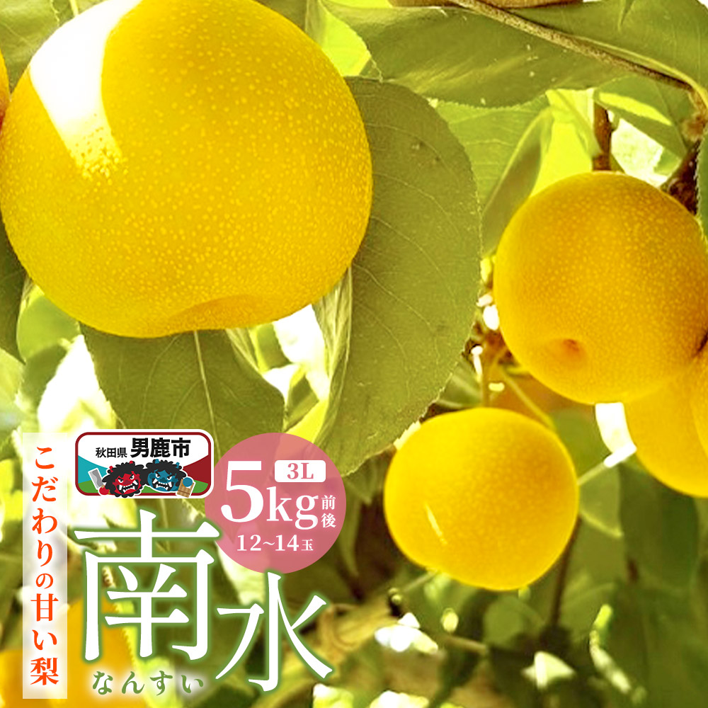 【ふるさと納税】【先行受付】南水 梨 こだわりの甘い梨 5kg前後 3L 12～14玉 産地直送 旬の果物 ギフト 秋田県 男鹿市