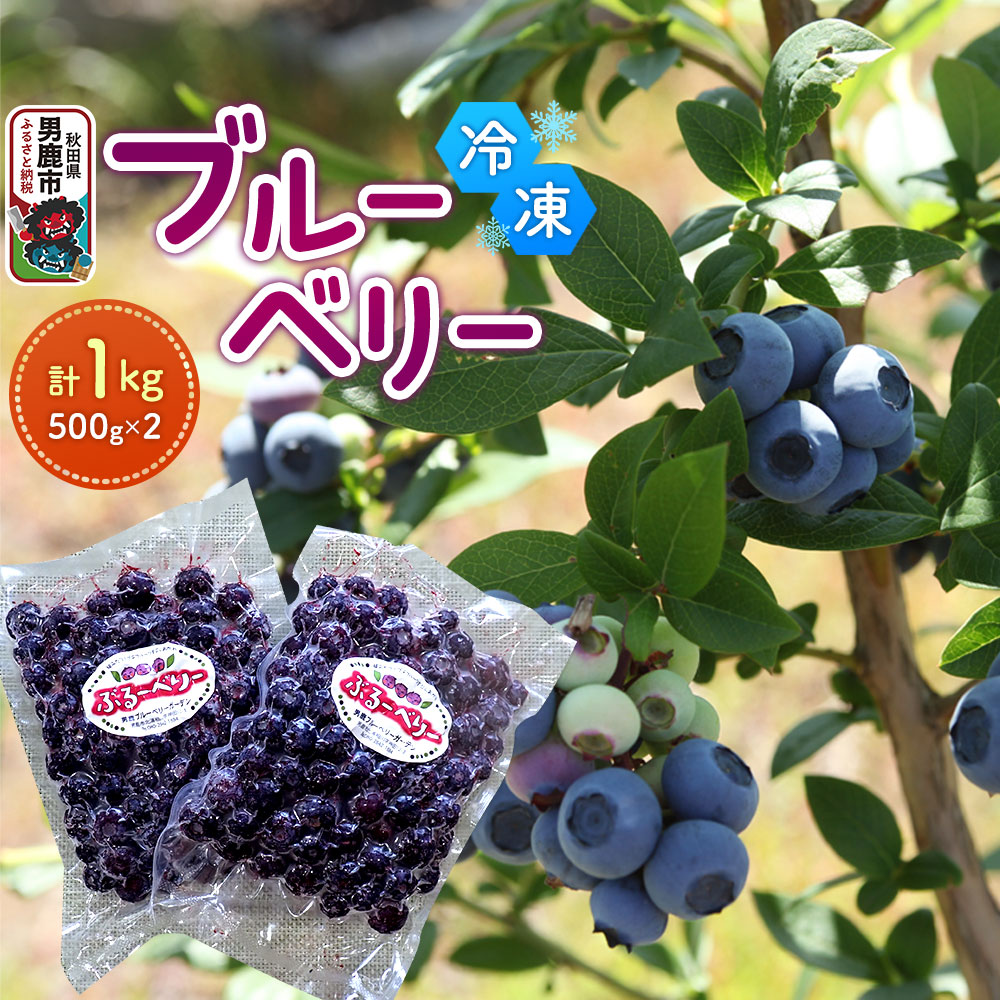 【ふるさと納税】【男鹿ぶるーべりーガーデン】 冷凍ブルーベリー 500g×2パック（合計1kg）秋田県 男鹿市