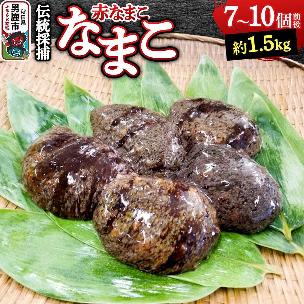 【楽天市場】【ふるさと納税】【期間限定】赤ナマコ 約1.5kg （7〜10個前後） なまこ 海風丸 秋田県 男鹿市 [なまこ ナマコ 海鼠 珍味 海産]：秋田県男鹿市