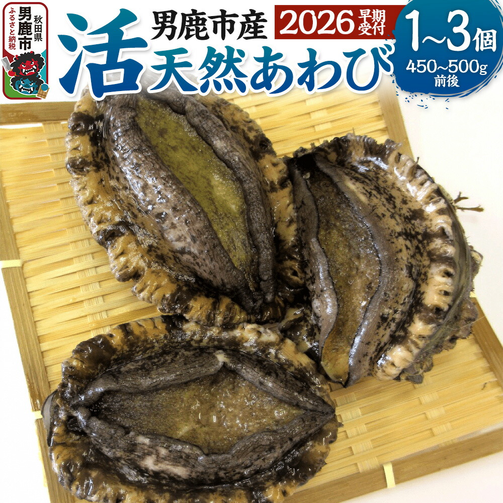 【ふるさと納税】《2026年7月中旬～8月下旬発送》男鹿産天然鮑 2個 (約250～280g) あわび アワビ 秋田 男鹿産