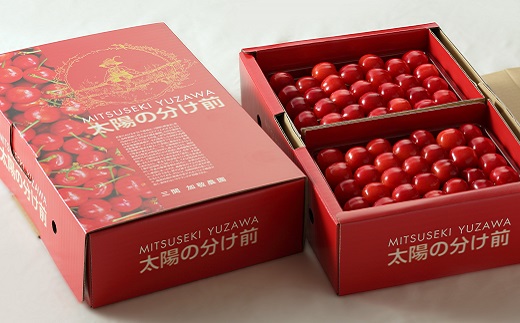 偉大な新品 一粒一粒丹精込めて育ててます ふるさと納税 D8702 太陽の分け前佐藤錦2lサイズ500g 2パック超格安最安値