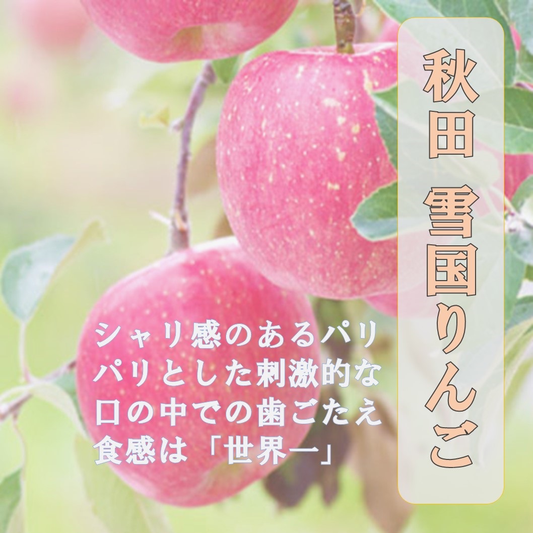 【ふるさと納税】＜選べる容量＞秋田県産 りんご ふじ 約2.5kg～10kg 最高の甘味と香り 産地直送 3kg 5kg 10kg【BARUバイオジャパン吉村(株)】[B5-9905]