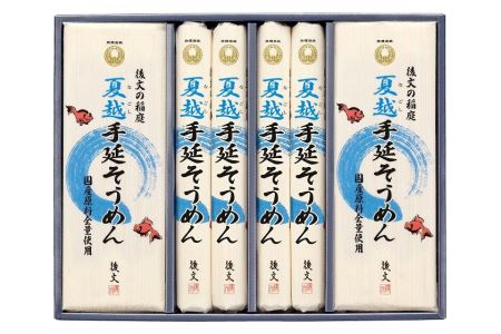 【ふるさと納税】稲庭夏越そうめん NSO-50【(株)後文】[B3-9402]
