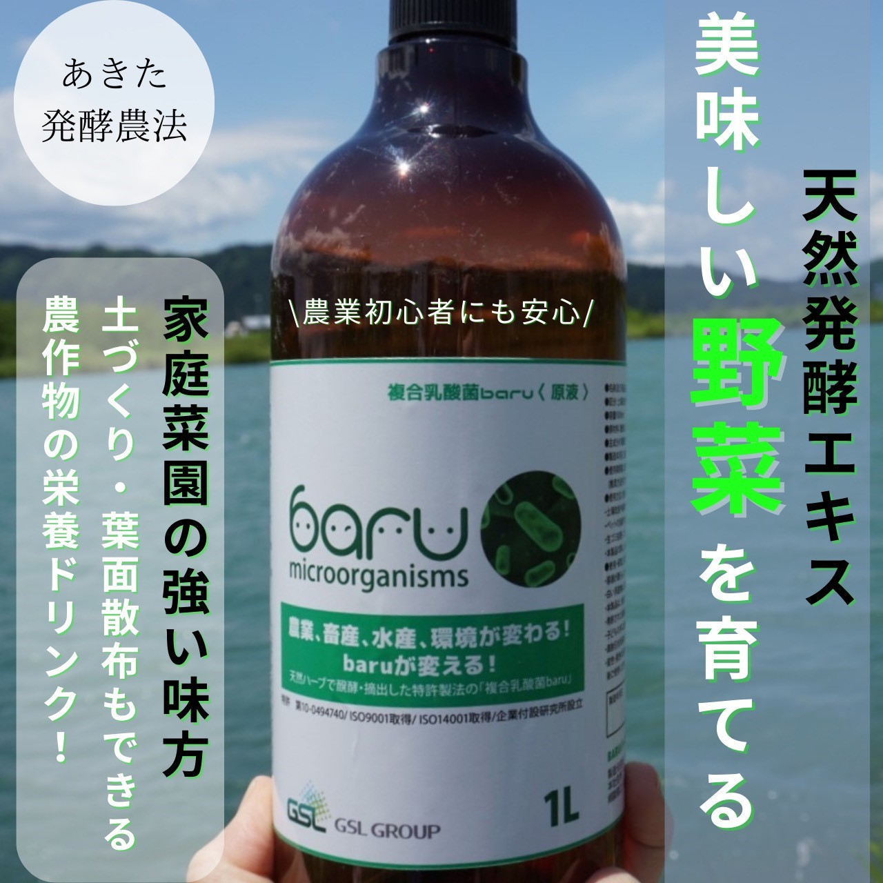真菰乳酸菌液 定期便】真菰（まこも）乳酸菌液 1.5L×6本 12ヶ月定期便