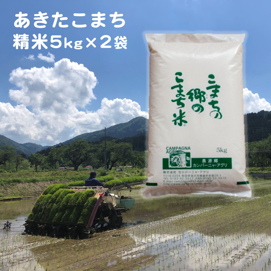 【ふるさと納税】【令和7年産】こまちの郷のこまち米 精米 5kg×2袋（計10kg）秋田 米 お米【(株)カンパーニャ・アグリ】[H2-12401]