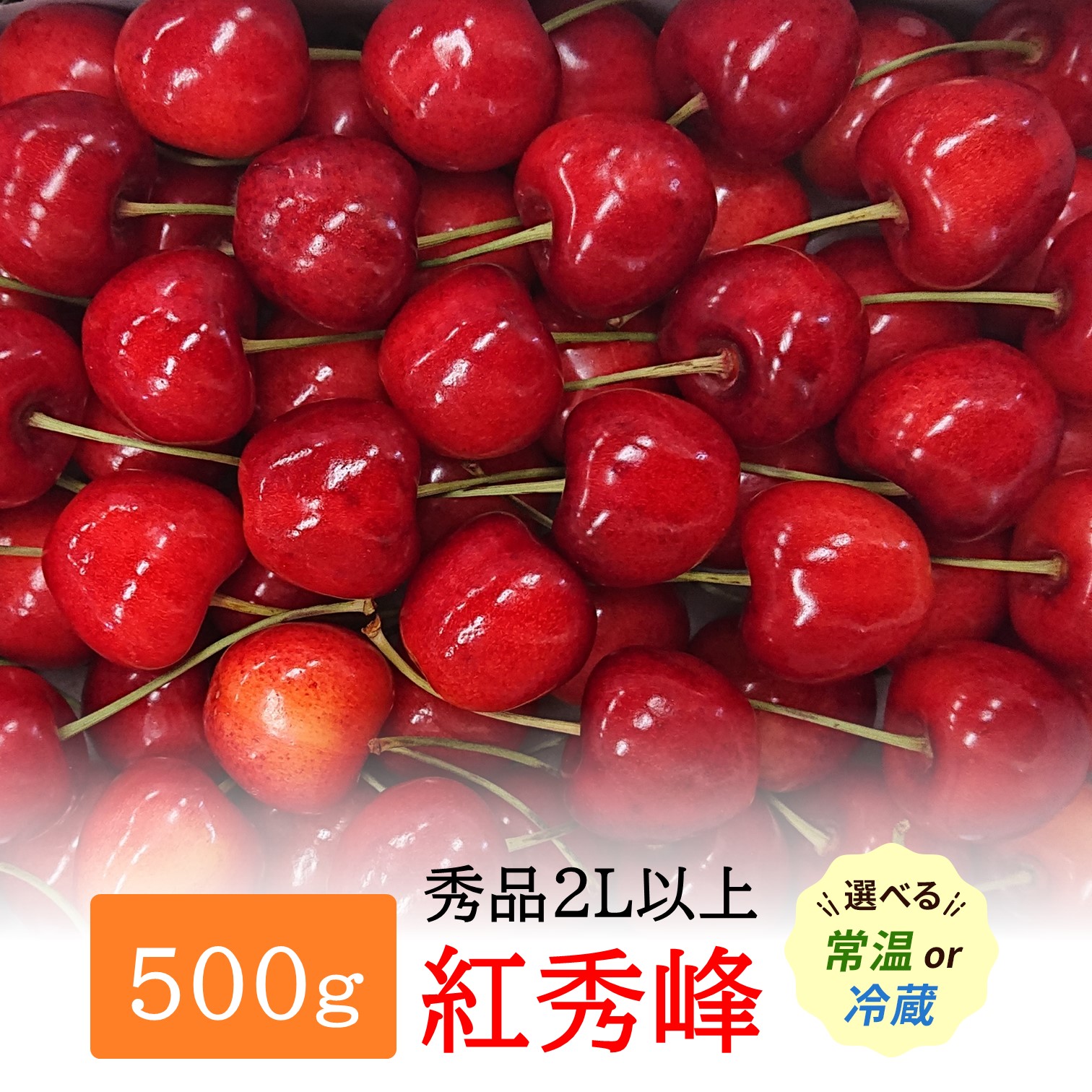 【ふるさと納税】【2025年配送分先行受付】 朝採り 厳選 さくらんぼ 紅秀峰 500g (秀2Lサイズ以上)  2025年6月後半頃より発送 品質日本一と市場評価が高い 秋田県 三関産 [B5-15105]