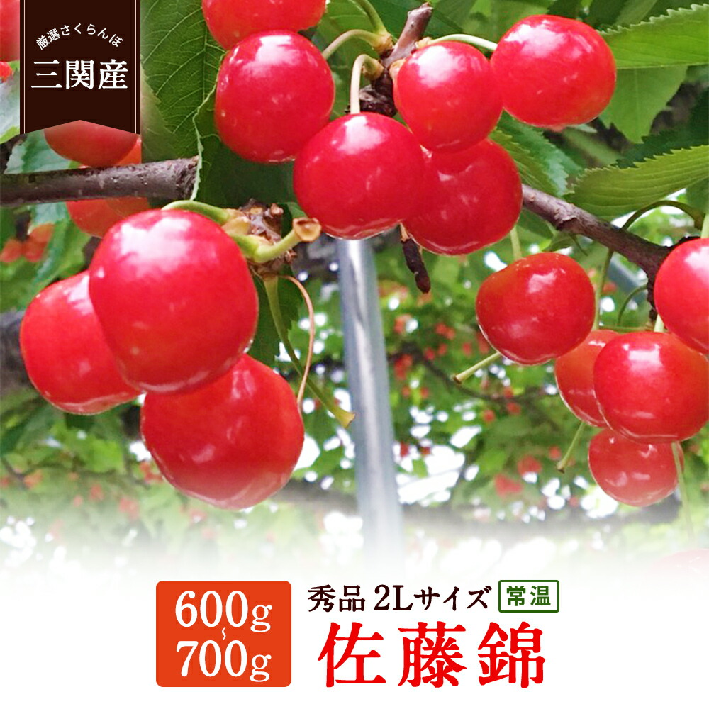 【ふるさと納税】三関産さくらんぼ（佐藤錦）秀2L　600～700g[B67-2601]
