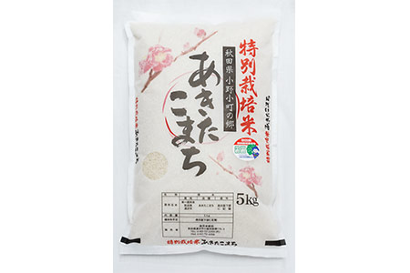 【ふるさと納税】【令和7年産米】小野小町の郷 特別栽培米 あきたこまち 5kg&times;1袋 ふるさと納税 秋田 米 あきたこまち お米【遠田米穀店】[B7-2203]｜秋田県湯沢市