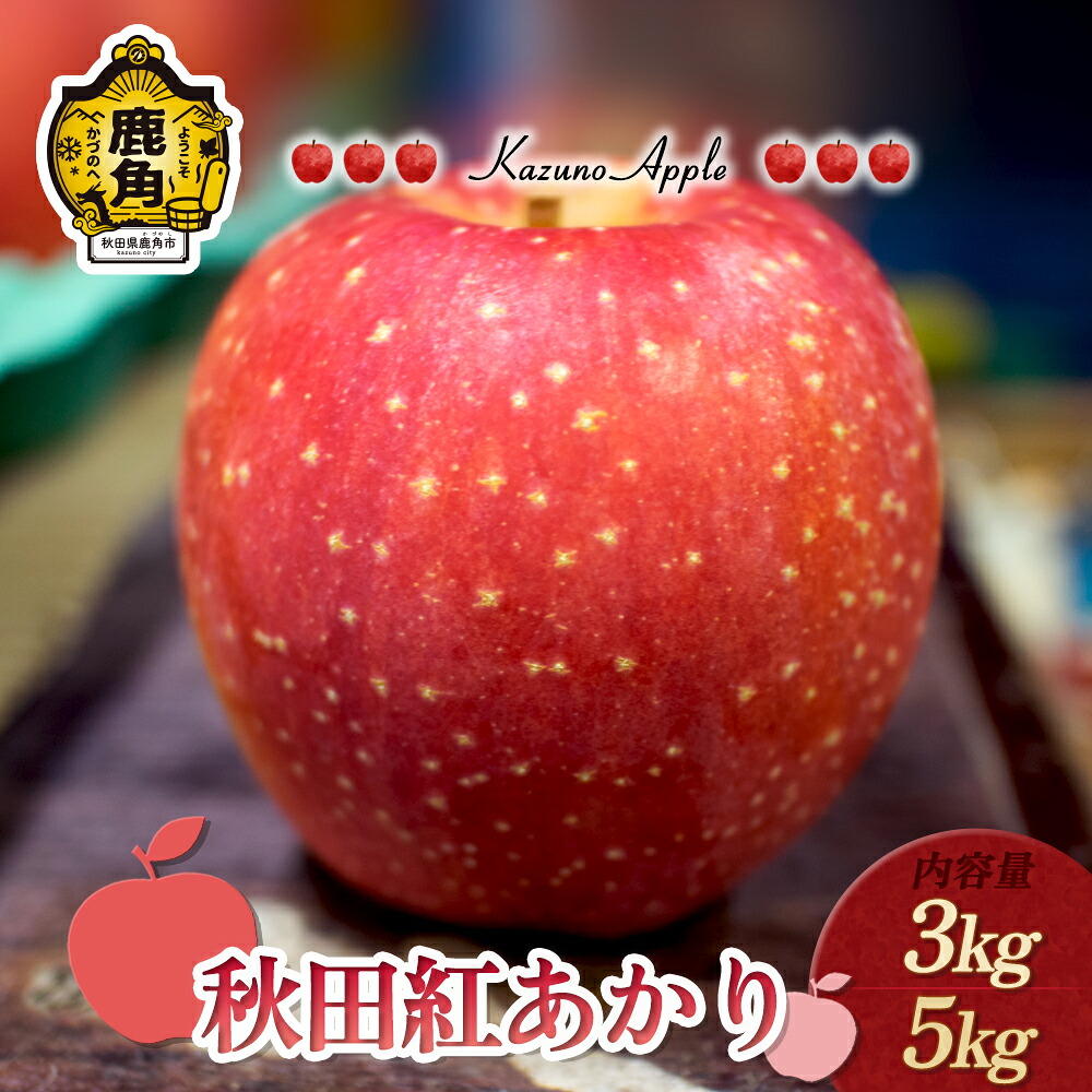 【ふるさと納税】《 先行予約 》 りんご 鹿角りんご 「 秋田紅あかり 」選べる 3kg ／ 5kg 贈答用 りんご リンゴ 林檎 みずみずしい 果汁 リンゴ 林檎 完熟 旬 県産りんご お中元 お歳暮 お見舞い グルメ 故郷 秋田県鹿角市産 送料無料 【佐藤秀果園】｜秋田県鹿角市