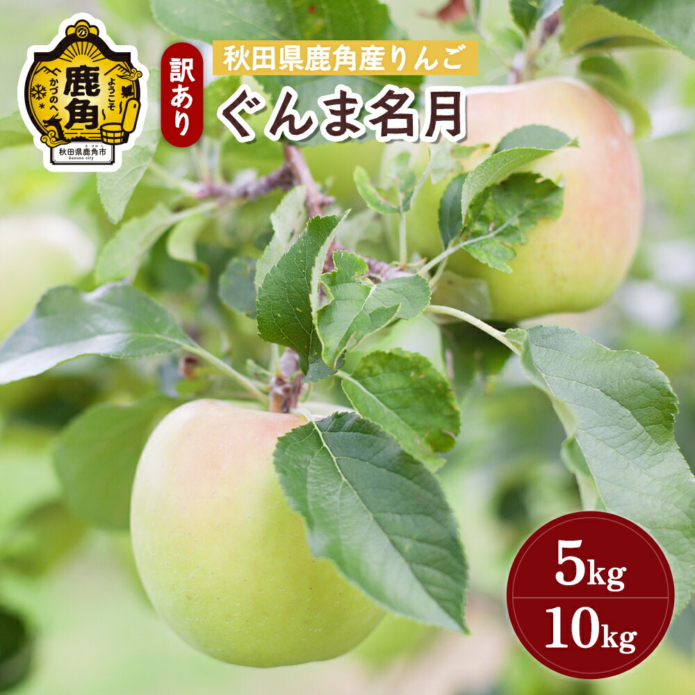 【ふるさと納税】《 先行予約 》 りんご  訳あり ぐんま名月 5kg / 10kg 鹿角りんご 家庭用 食感 果汁 リンゴ 完熟 旬 県産 りんご お中元 お歳暮 贈り物 グルメ ギフト 故郷 秋田 あきた 鹿角市 鹿角 送料無料 【山麓園】