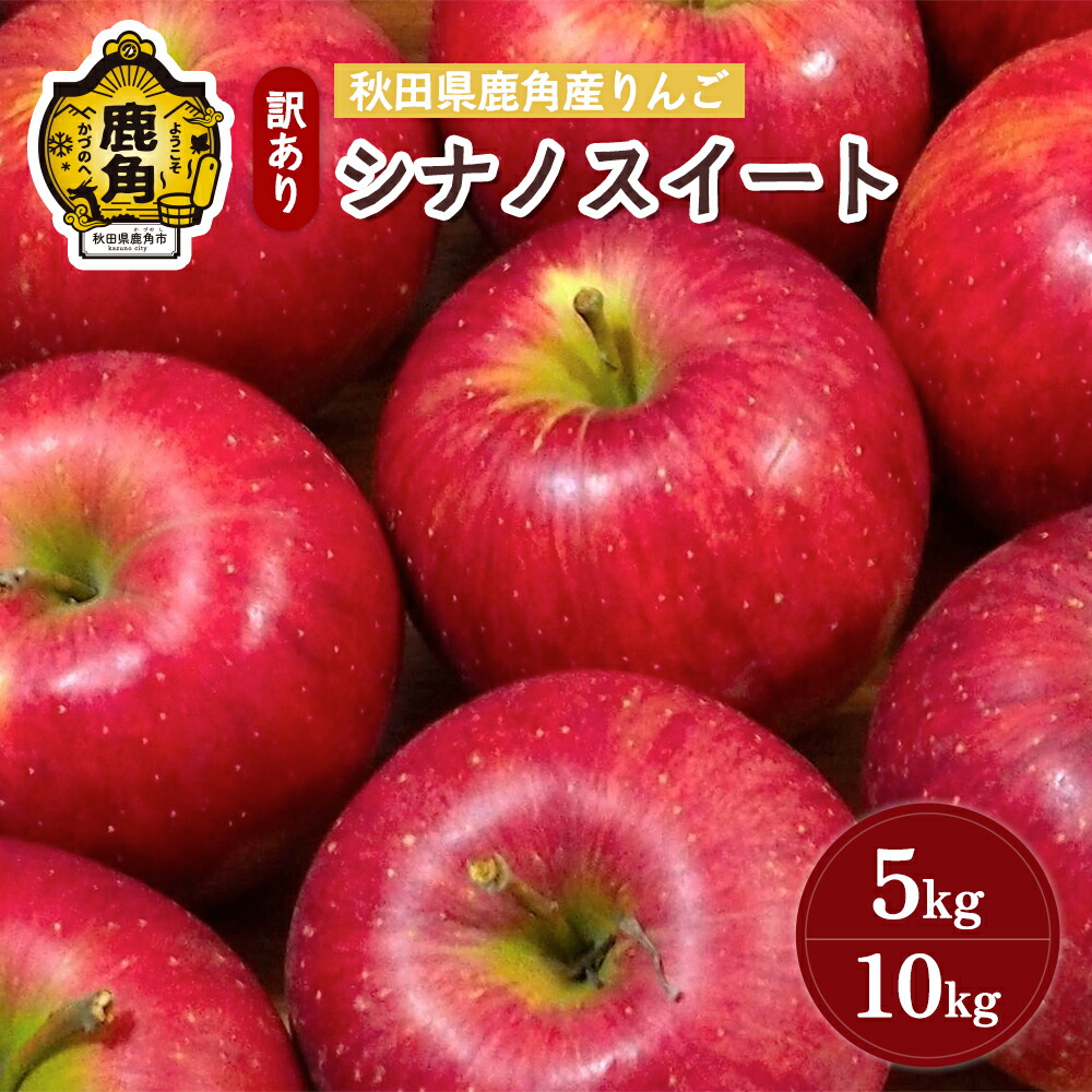 【ふるさと納税】《 先行予約 》 りんご  訳あり シナノスイート 5kg / 10kg 鹿角りんご 家庭用 食感 果汁 リンゴ 完熟 旬 県産 りんご お中元 お歳暮 贈り物 グルメ ギフト 故郷 秋田 あきた 鹿角市 鹿角 送料無料 【山麓園】