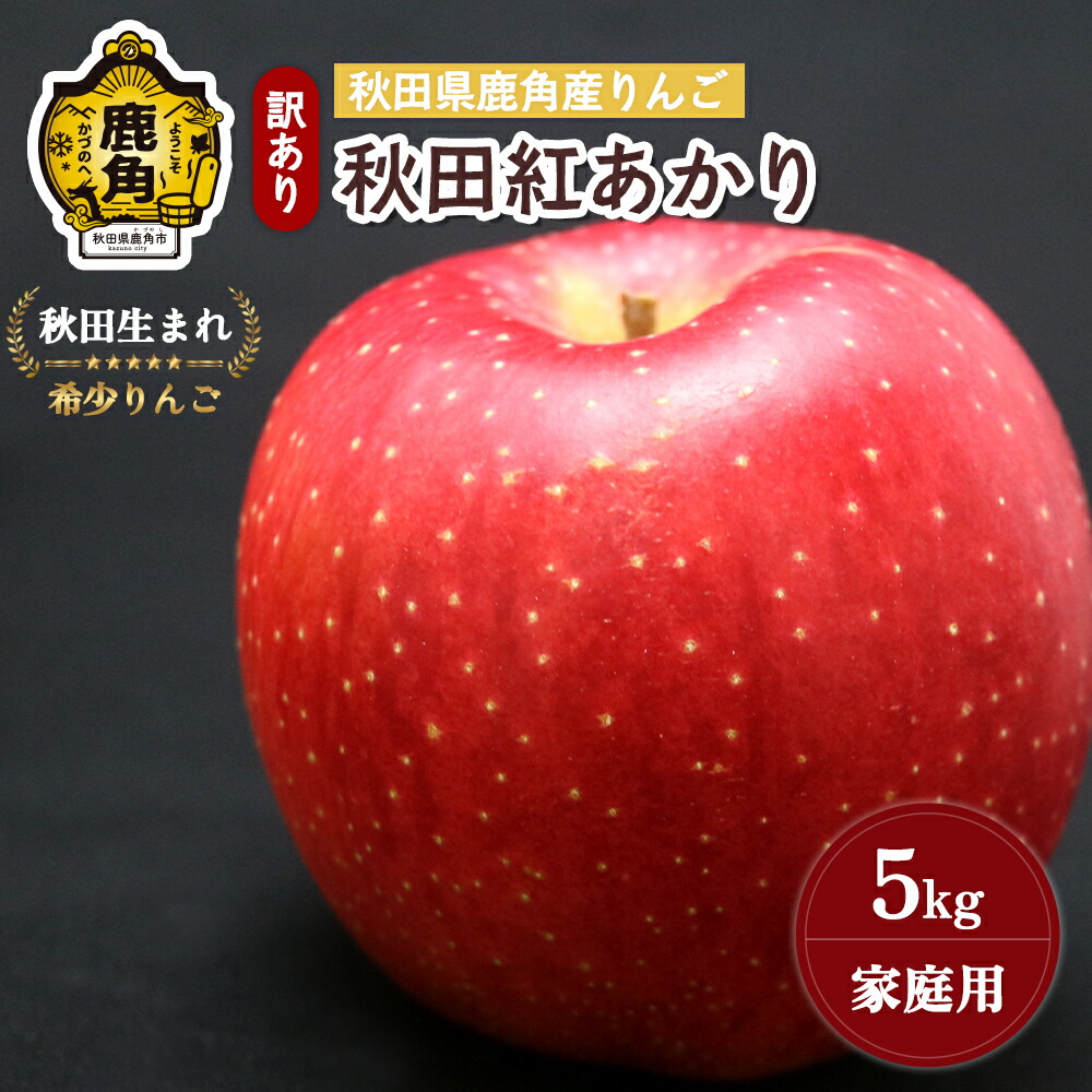 【ふるさと納税】《 先行予約 》 りんご 訳あり 秋田紅あかり 5kg ( 13～18玉入 ) 鹿角りんご 家庭用 食感 果汁 リンゴ 完熟 旬 県産 りんご お中元 お歳暮 贈り物 グルメ ギフト 故郷 秋田 あきた 鹿角市 鹿角 送料無料 【山麓園】