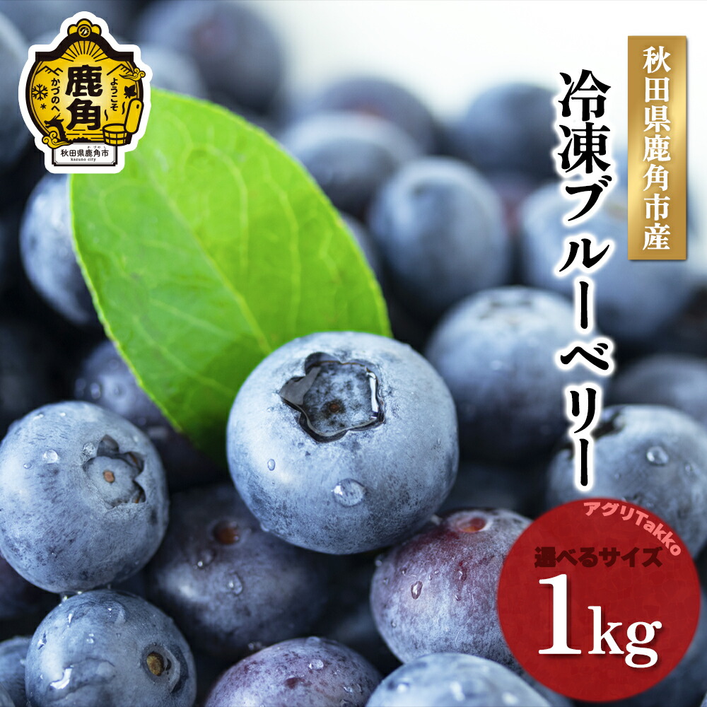 【ふるさと納税】《 先行予約 》 令和7年産 冷凍ブルーベリー 秋田県鹿角産 1kg ( 500g × 2袋 ) 大玉 中玉 サイズMIX 新鮮 ブルーベリー 冷凍 秋田県産 国産ブルーベリー お中元 お歳暮 お取り寄せ グルメ ギフト 故郷 秋田 あきた 鹿角市 鹿角 送料無料 【アグリTakko】