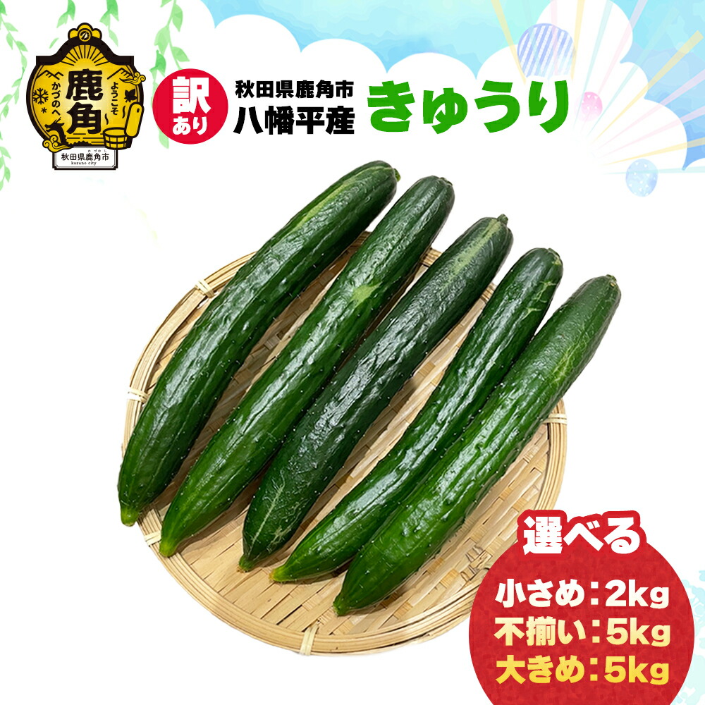 森のきゅうりさま依頼資料 サカタ交配)味の良い豊産種 「さつきみどり（きゅうり）」 種子