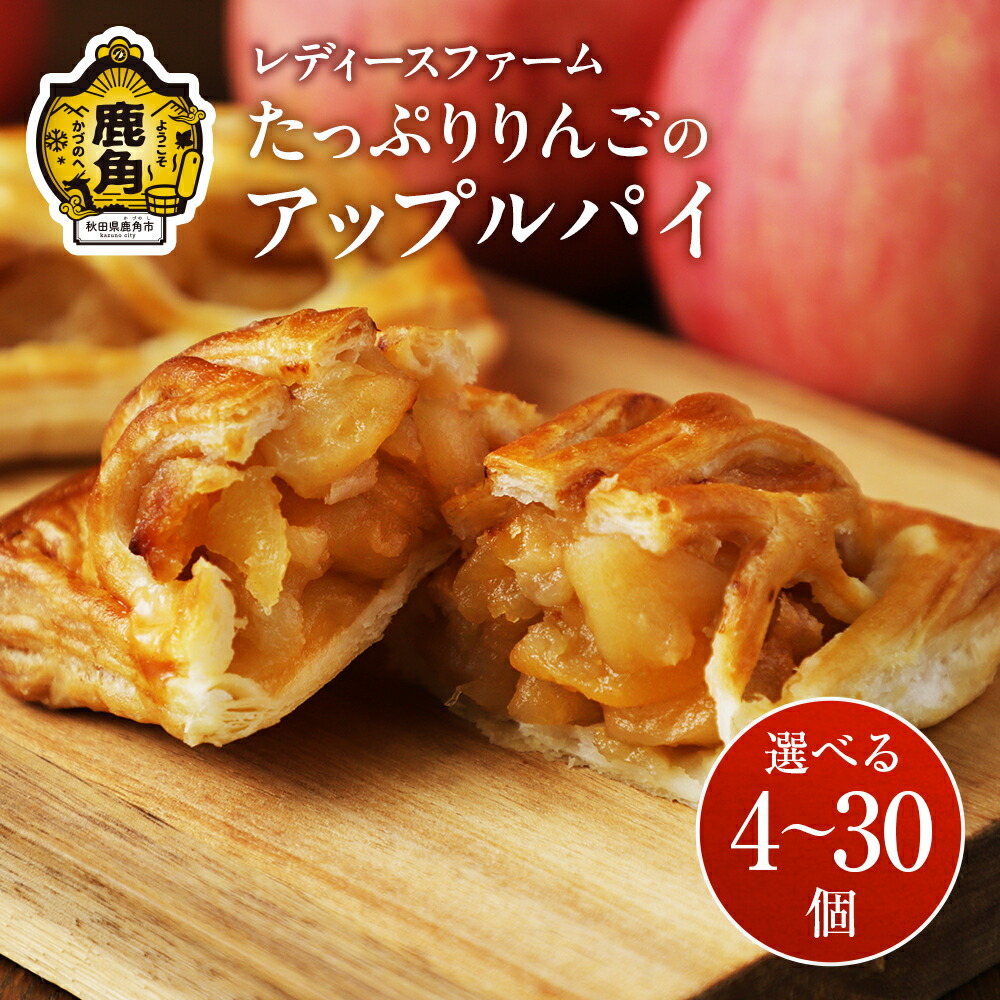 NSIN オーツ麦のクッキーチョコチップ 11枚 ×12個