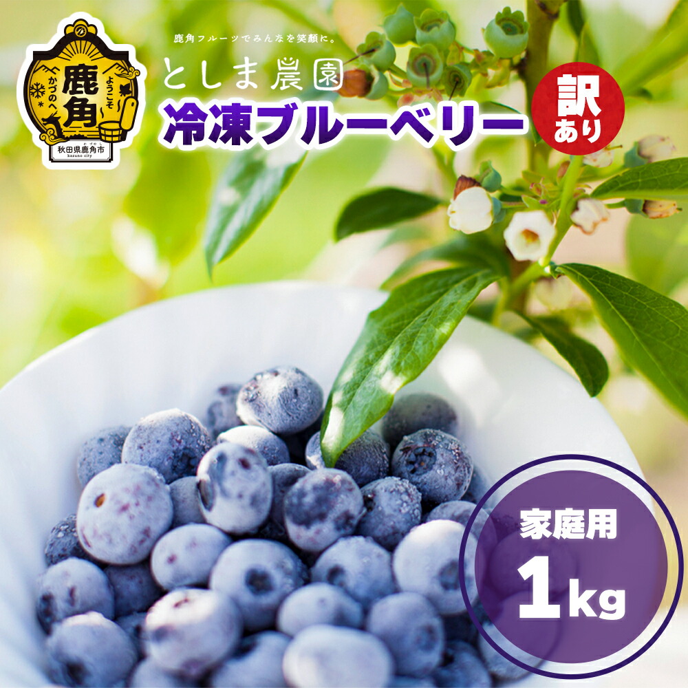 【ふるさと納税】 訳あり 冷凍 ブルーベリー 1kg  ( サイズMIX ) 旬 県産 ブルーベリー 国産ブルーベリー 小分け お中元 お歳暮 お取り寄せ 母の日 父の日 グルメ ギフト 故郷 秋田 あきた 鹿角市 鹿角 送料無料 【としま農園】