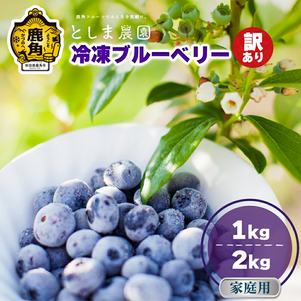 朝摘み冷凍ブルーベリー6kg入り 楽天市場】【ふるさと納税】【摘みたて冷凍】自然の中で育った