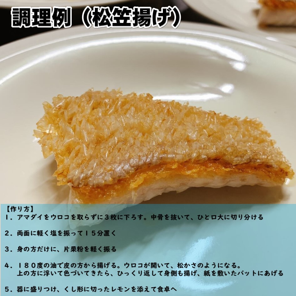 ふるさと納税 アマダイ1kg 高級魚 漁師直送 秋田県産 あまだい 甘鯛