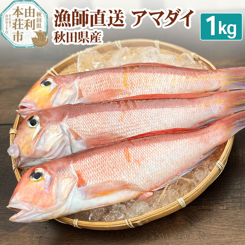【ふるさと納税】《予約受付》漁師直送 甘鯛 (あまだい)  秋田県産 1kg