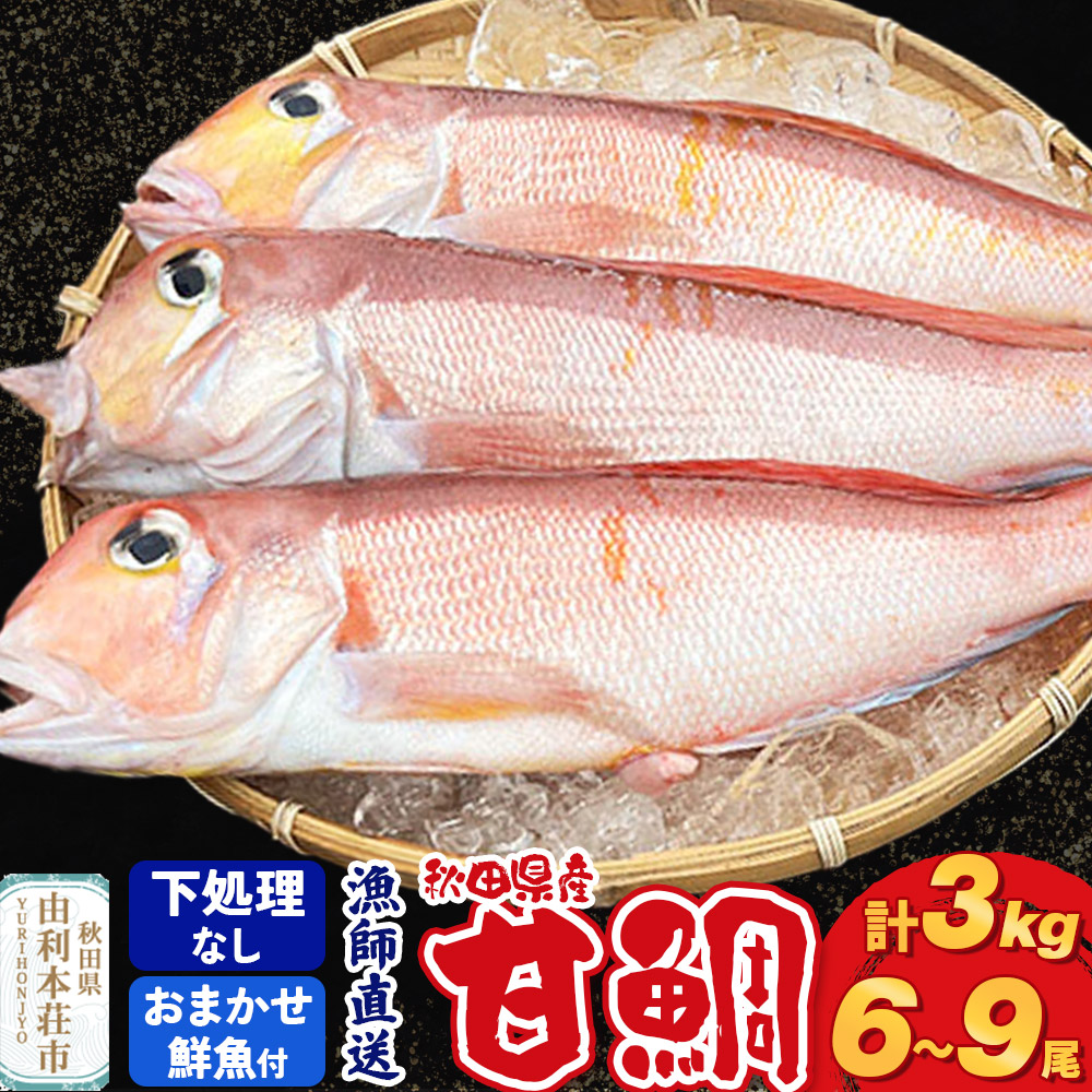 【ふるさと納税】《予約受付》漁師直送 甘鯛（あまだい）3kg＋おまかせ鮮魚 秋田県産【下処理なし】 [天然 高級魚 白身 アマダイ たい 鮮魚 共同漁業 BLUE RISE 秋田県 由利本荘市]