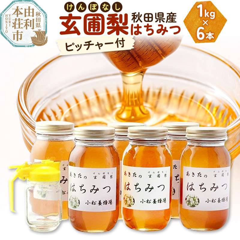 【ふるさと納税】小松養蜂場 はちみつ 秋田県産 100％ 玄圃梨蜂蜜 1kg×6本 ピッチャー付