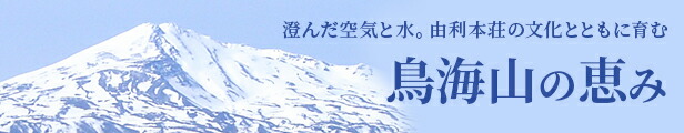 楽天市場】【ふるさと納税】＜緊急支援品＞ 国産 フランス鴨 鍋ミックスセット 合計740g (フランス鴨ロース肉・モモ肉ミックス240g 鴨 つみれ250×2 スープ200ml×4) : 秋田県由利本荘市