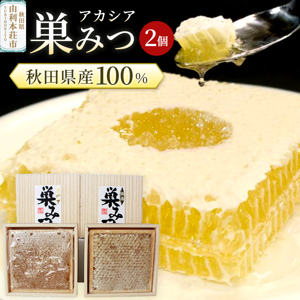 【ふるさと納税】小松養蜂場 はちみつ 秋田県産 100％ 巣みつ(アカシア) 2個セット