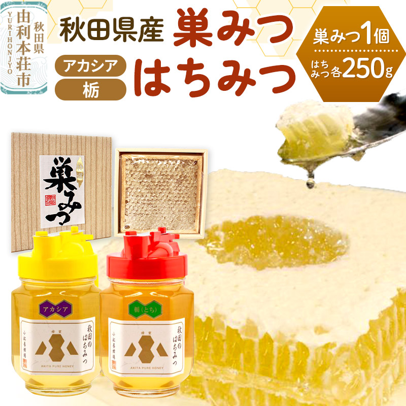 【ふるさと納税】小松養蜂場 はちみつ 秋田県産 100％ 巣みつ(アカシア) +アカシア・栃はちみつ各 250g セット