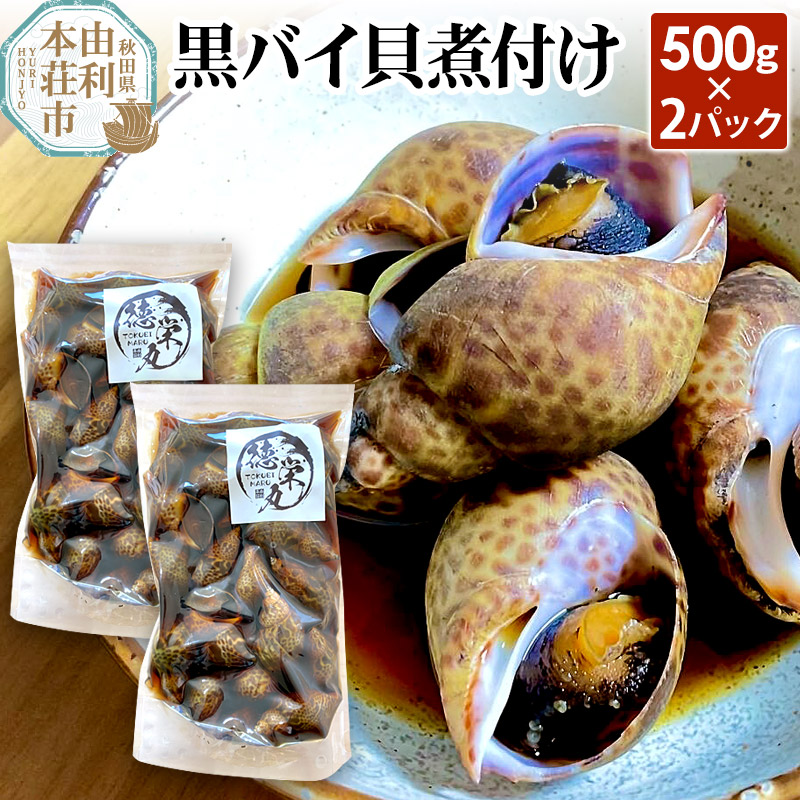 アパートの暮らし 重松敏一 編