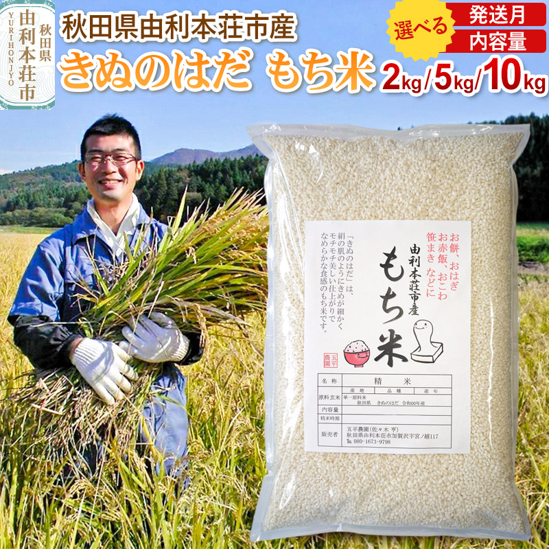 【ふるさと納税】《予約受付》【お盆・お彼岸】【もち米】令和7年産 秋田県 由利本荘市産 きぬのはだ 精米 【選べる内容量 2kg／5kg／10kg（5kg×2袋） 選べる発送月】
