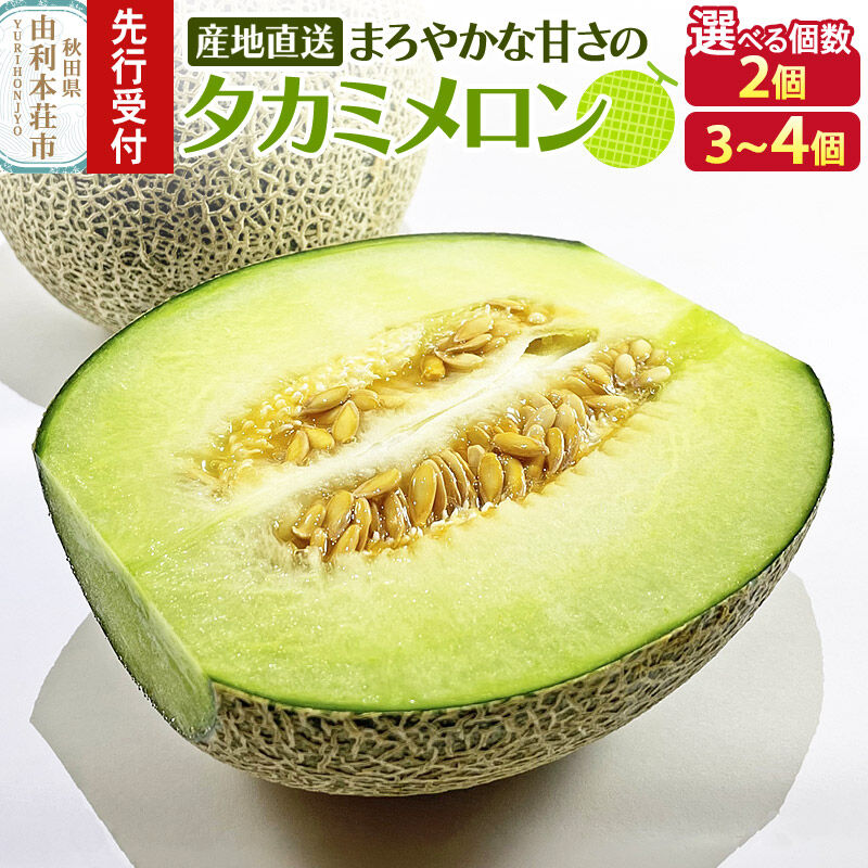 【ふるさと納税】《先行受付》由利本荘産 メロン【選べる個数：2個／3～4個】 [メロン フルーツ 果物 スイーツ 先行予約 秋田 由利本荘市産 国産]｜秋田県由利本荘市