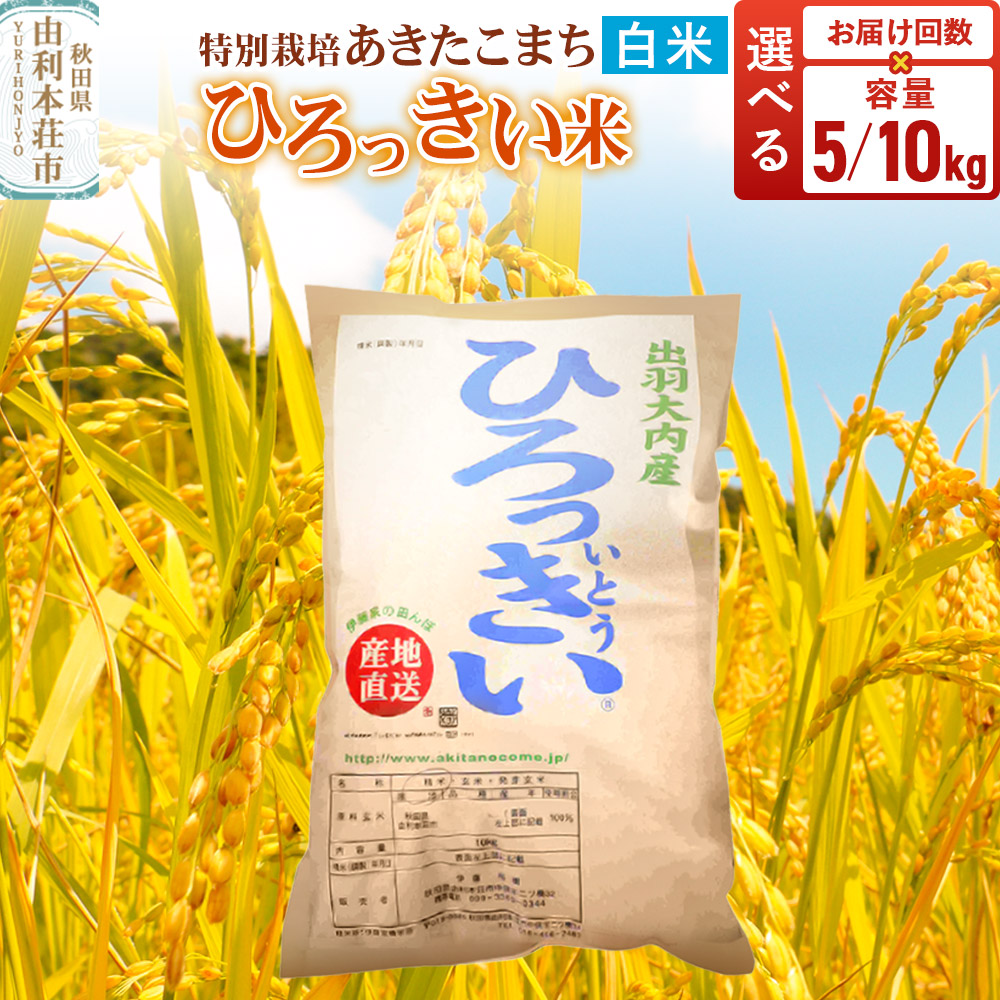 【ふるさと納税】【白米】 秋田県産 特別栽培あきたこまち 令和7年産【選べる容量 5kg/10kg・お届け回数 1回~】ひろっきい米|秋田県由利本荘市