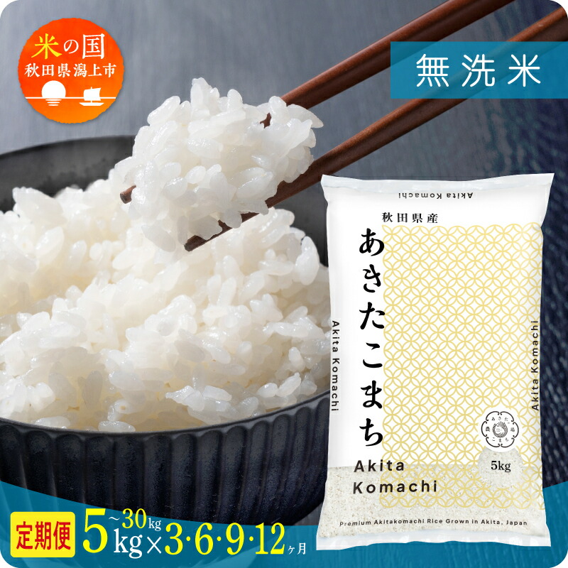 ふるさと納税返礼品　秋田県産　あきたこまち 5kg×2 10kg 農家直送 ふるさと納税返礼品 秋田県産 あきたこまち 5kg×2 10kg 農家直送