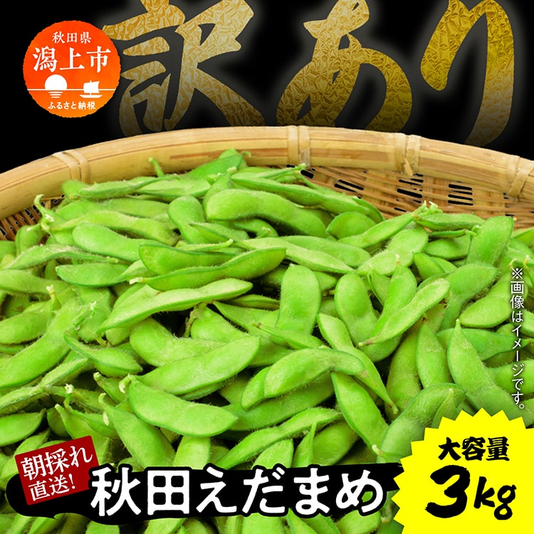 【ふるさと納税】《先行予約》令和7年産  訳あり 枝豆 3kg 農家直送 収穫 当日発送 えだまめ 朝獲れ クール便 発送 朝採り 野菜 夏野菜 おつまみ 晩酌 Bランク お取り寄せ グルメ 潟上市 秋田 おいしい つまみ 【エスジー・ファーム】