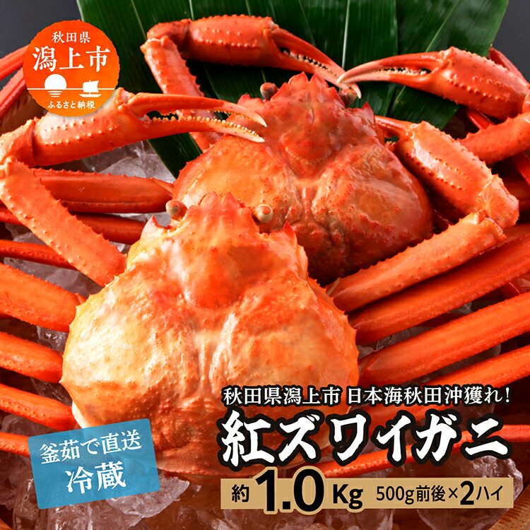 【ふるさと納税】冷蔵 ズワイガニ 2匹 約 1kg 紅ズワイガニ ベニズワイガニ ずわい ズワイ蟹 ずわいがに ずわい蟹 姿 ボイル 訳あり 蟹 カニ かに 国産 蟹 不揃い 傷 緊急 カニみそ入り 秋田 潟上市 【安田水産】