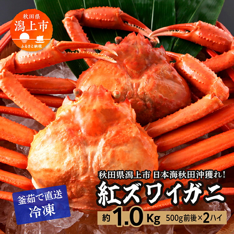 【ふるさと納税】ズワイガニ 2匹 約 1kg 冷凍 紅ズワイガニ ベニズワイガニ ずわい ズワイ蟹 ずわいがに ずわい蟹 姿 ボイル 訳あり 蟹 カニ かに 国産 蟹 不揃い 傷 緊急 カニみそ入り 秋田 潟上市 【安田水産】