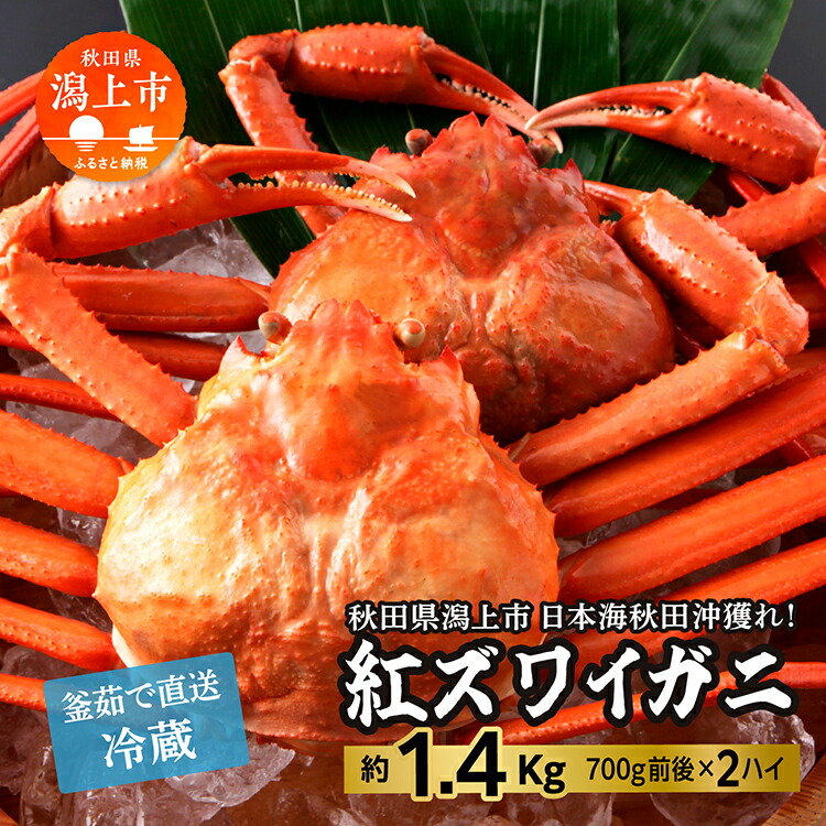 【ふるさと納税】 冷蔵  ズワイガニ 2匹 約 1.4kg 紅ズワイガニ ベニズワイガニ ずわい ズワイ蟹 ずわいがに ずわい蟹 姿 ボイル 訳あり 蟹 カニ かに 国産 蟹 不揃い 傷 緊急 カニみそ入り 潟上市 【安田水産】